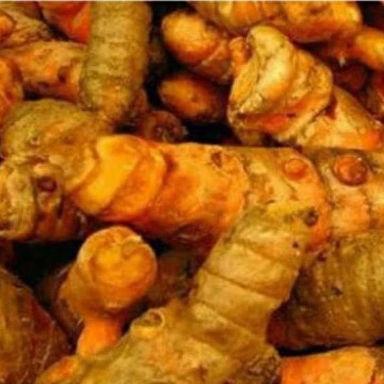 

Kunyit Segar alami,Herbal, Tradisional