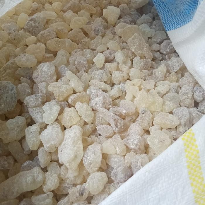 Promo getah damar kaca/mata kucing