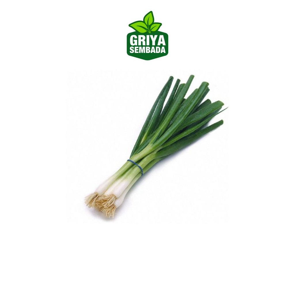 

Daun Bawang Pre 100gr - Griya Sembada Kirim Instant /Sameday/Grabfood