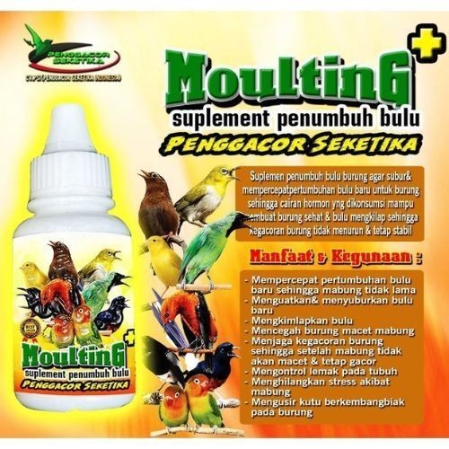 Moulting Penggacor Premium 25ml Vitamin Mabung Burung Penumbuh Bulu Murai Kacer Lovebird Kicau