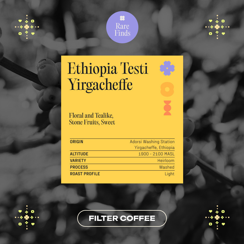 

KORO ROASTERS Arabica Ethiopia Testi Yirgacheffe Washed Filter Biji Kopi - Single Origin Specialty Coffee