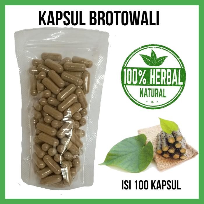 Kapsul BROTOWALI ASLI isi 100