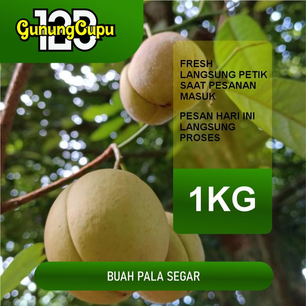 

BUAH PALA MUDA FRESH LANGSUNG PETIK 1KG