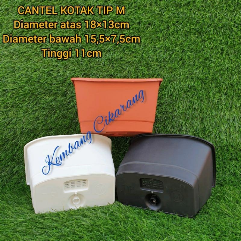(1pc) CANTEL KOTAK TIP M, LOVENIA PTB M (18*13) : pot bunga tempel kotak cantol ram kawat mirip argo