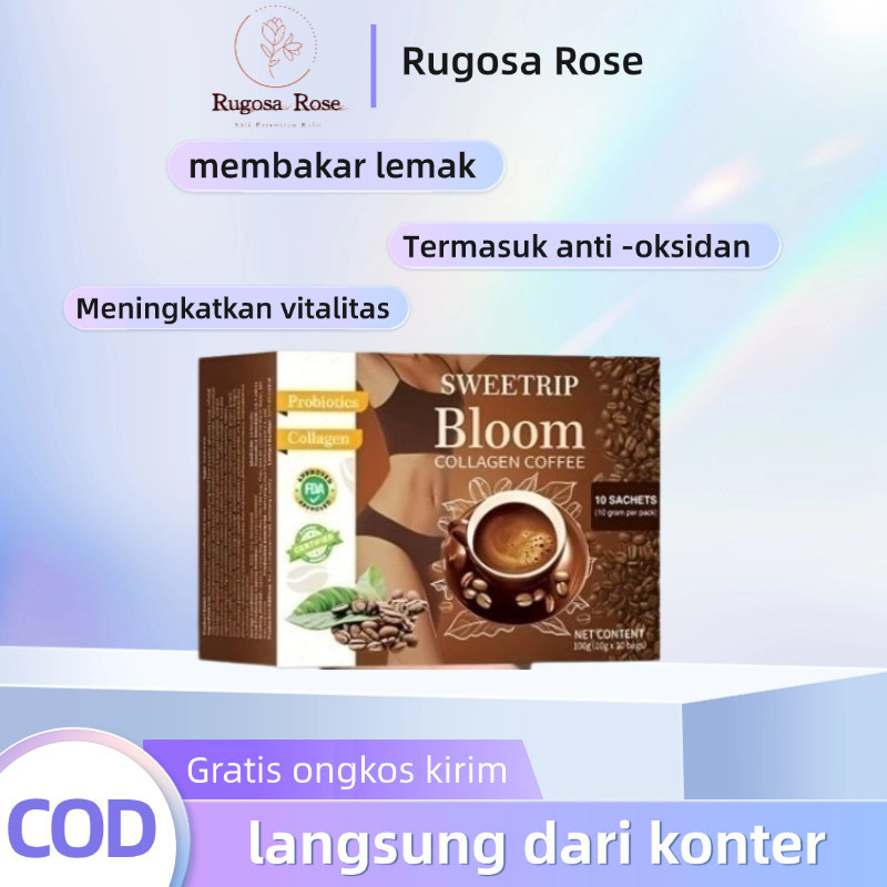 

【COD】100g Bloom Collagen Coffee Instant coffee Original Robusta Collagen