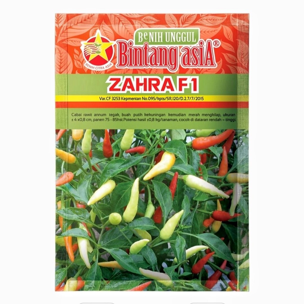 Benih Cabai Cabe Rawit ZAHRA F1 10 Gram Cap Bintang Asia PT Benih Citra Asia Warna Merah Mengkilap C