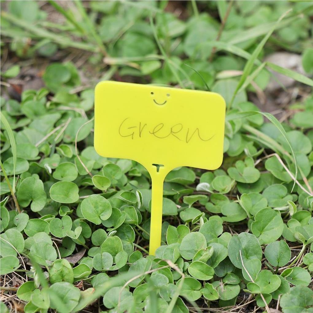 

New 100PCS/Set T Shape Garden Labels PVC Outdoor Indoor Backyard Park Farm Markers Fruit Trees Seedlings Sign