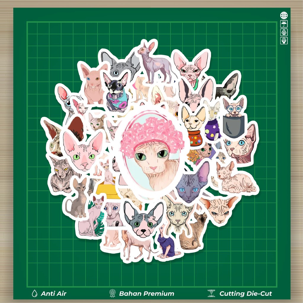 

HOT 50 PCS STIKER Stiker Hewan Kucing Sphinx Stiker Fashion Cars Decal Dingin Kartu Album Custom Vinyl Anti Air- Sticker Aesthetic Buku Journal Koper Casing HP Tablet Laptop Helm Motor Botol Minum
