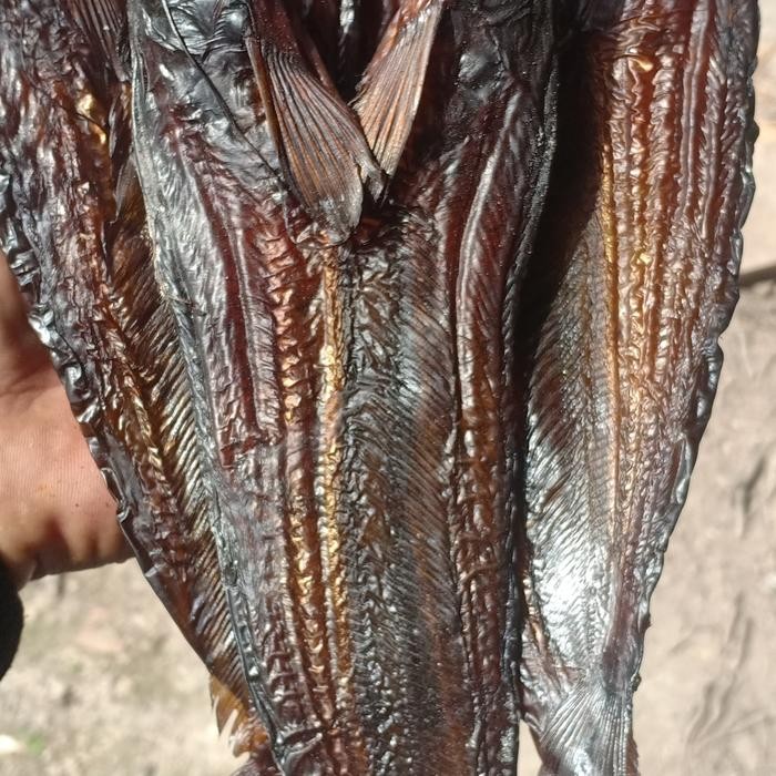 

Ikan salai Selais asap khas Riau