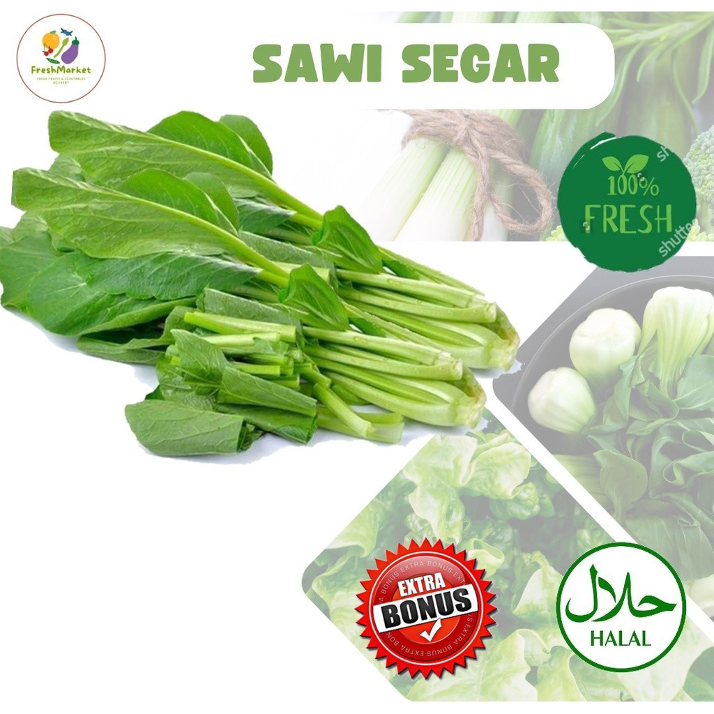 

Sawi Hijau Sayur Segar Per Ikat Sayurinstant