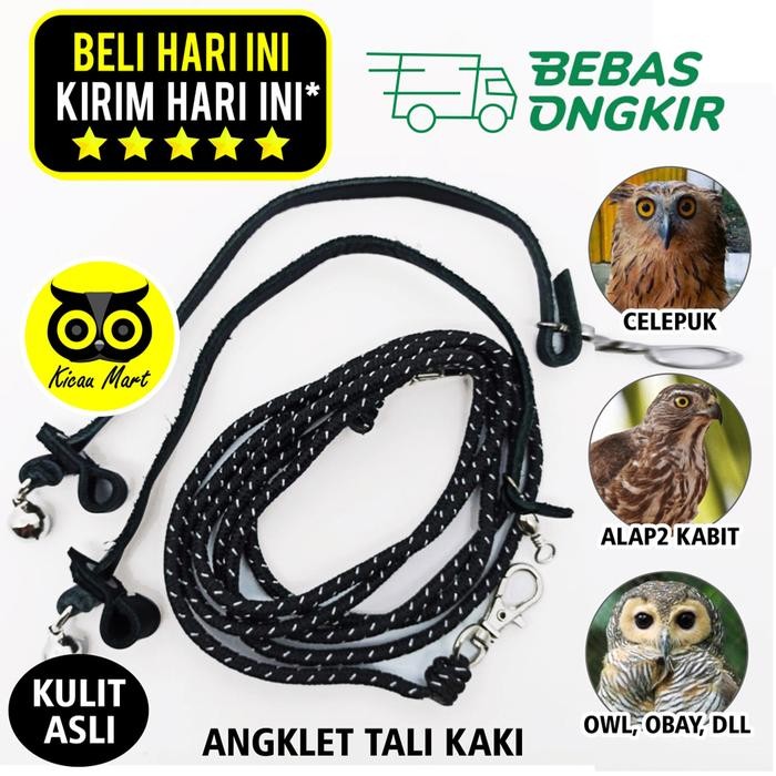 ANKLET CELEPUK TALI BURUNG HANTU ANGKLET CELEPUK KASTREL BIDO ALBA ANG