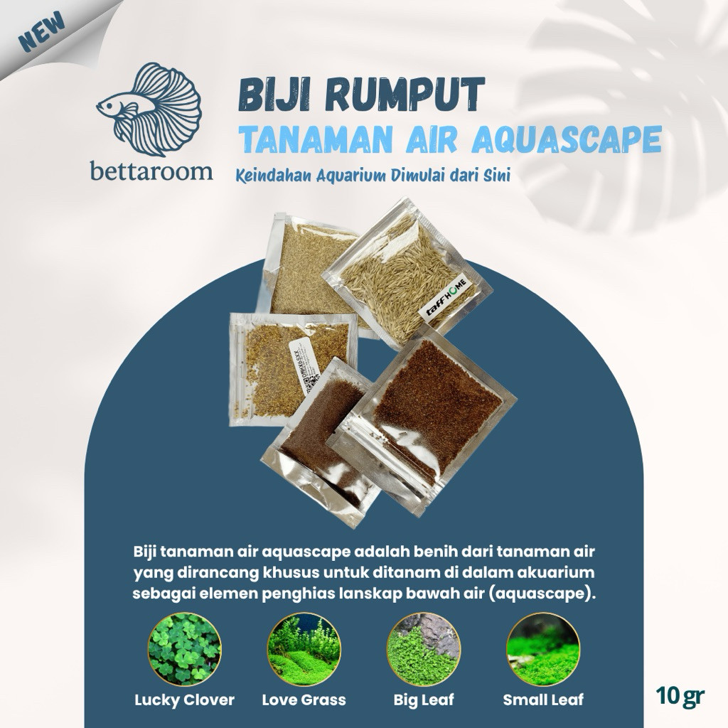 bibit rumput tanaman air aquascape benih biji tanaman rumput aquascape