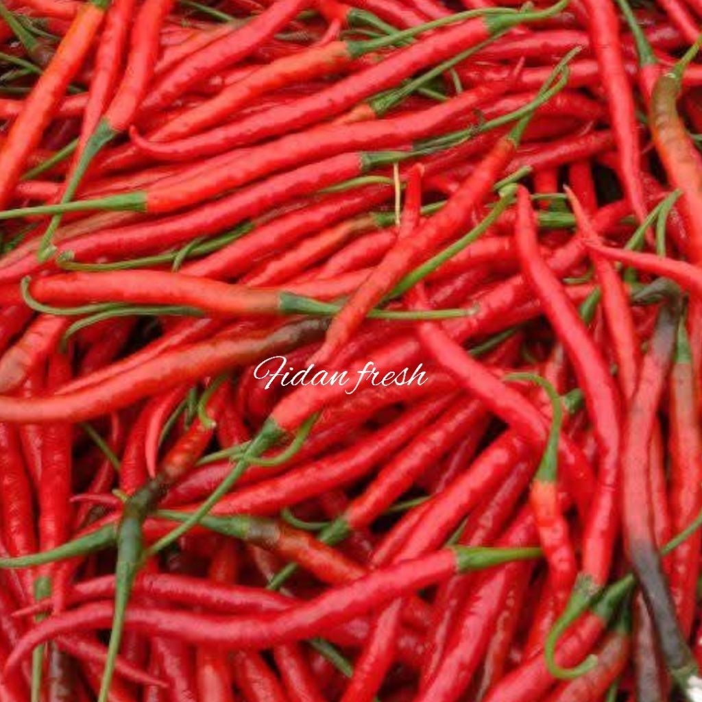 

Paket Cabe/Cabai Merah Kriting Fresh 1Kg