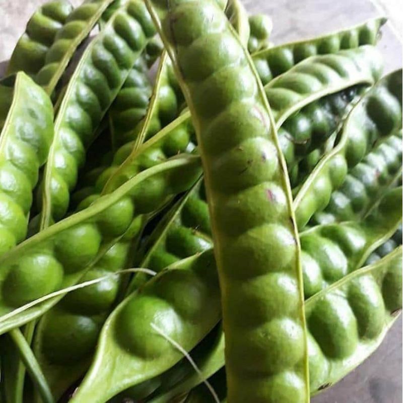 

[RS] Petai pete Per Papan/satuan