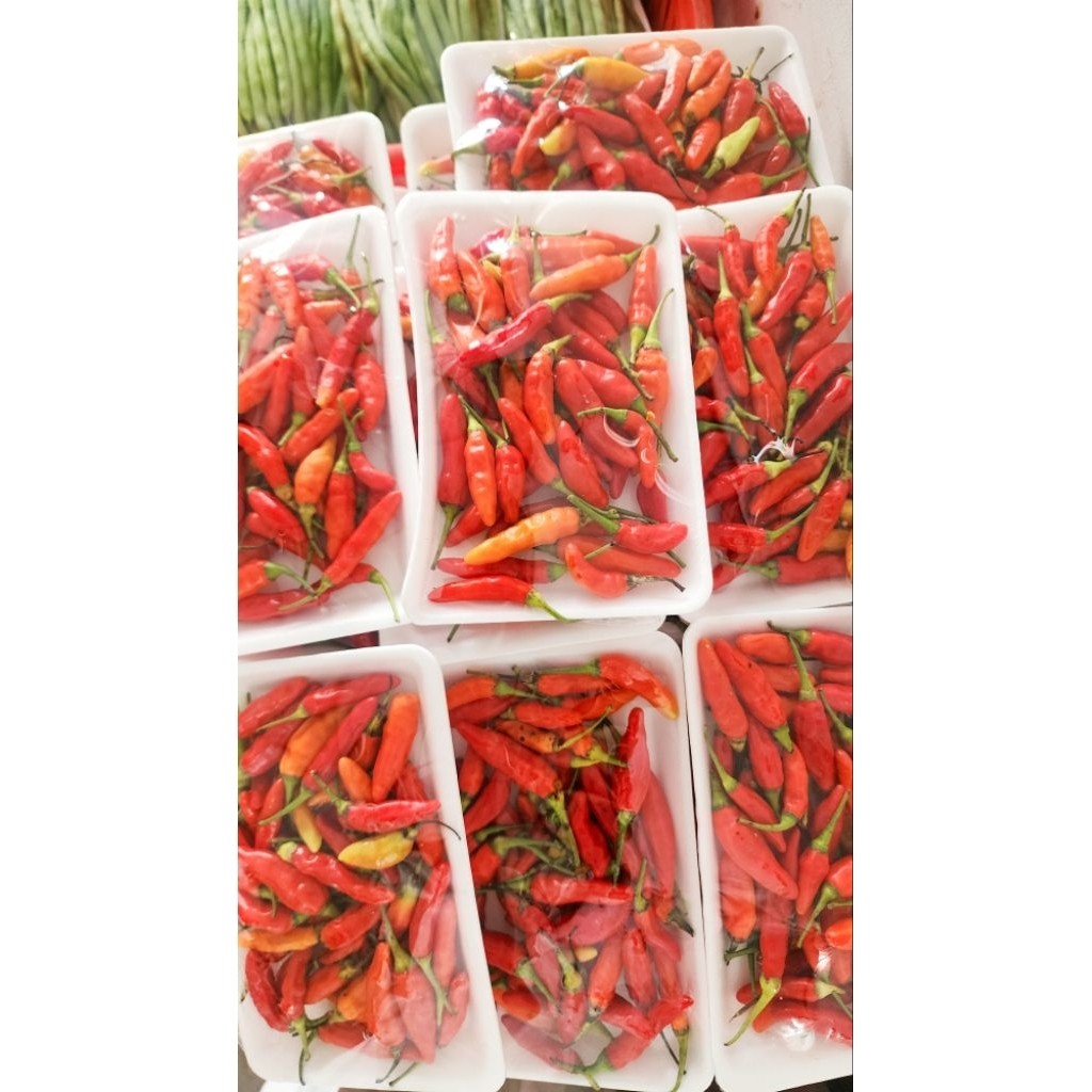 

PROMO KIRIM INSTAN Cabe Rawit Merah 100gr Sayur Express