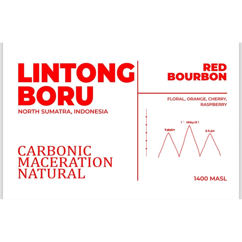 

LINTONG BORU Carbonic Maceration Natural Arabica Coffee Hanggar Roastery