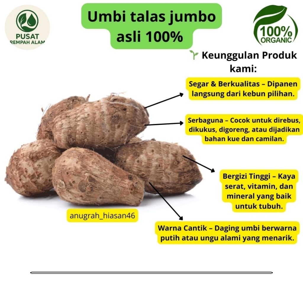 

umbi talas pulen 1kg fress
