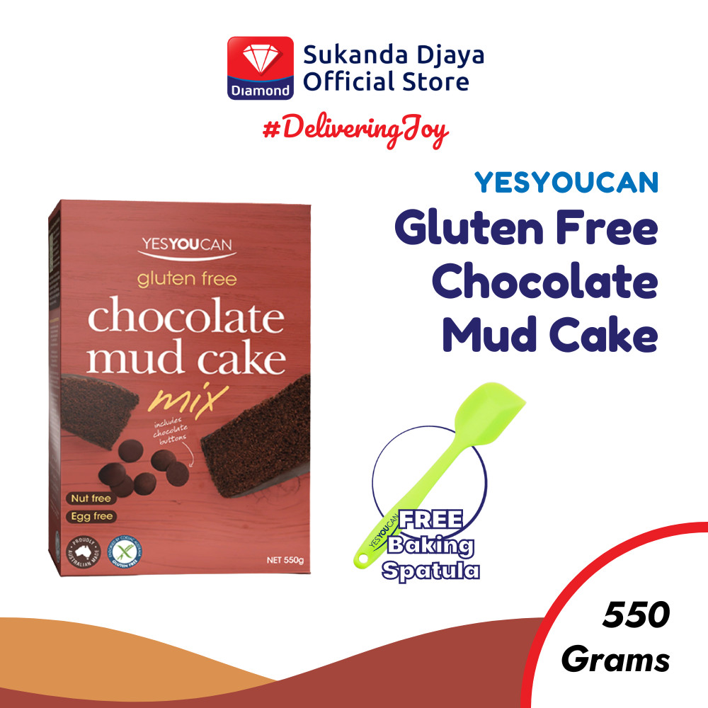 

YesYouCan Gluten Free Chocolate Mud Cake [Free Baking Spatula]