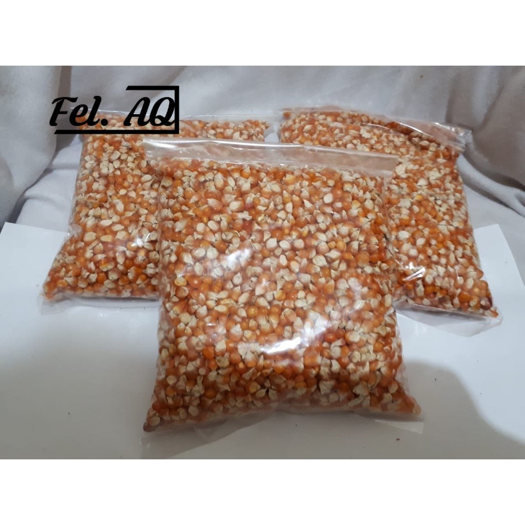 JAGUNG KECIL UNTUK PAKAN BURUNG DARA PUTER DERKUKU AYAM 500GRAM MURAH BERKUALITAS