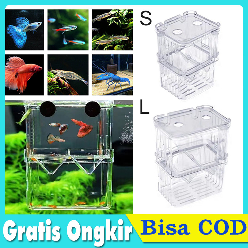 Breeding Box Net / Karantina Ikan aquarium, kotak kawin ikan / breeder / Isolation Box / Karantina i