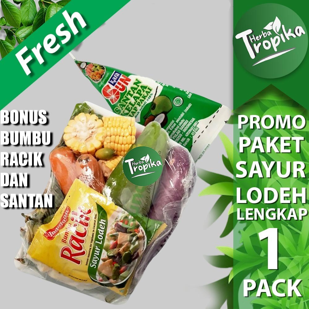

Promo Paket sayur lodeh plus bumbu racik dan santan kara Toko Herba Tropika