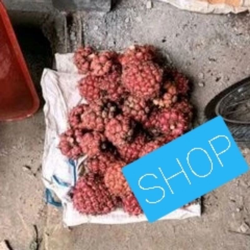 

New honje sgar 500 gr bush kvomrang honje