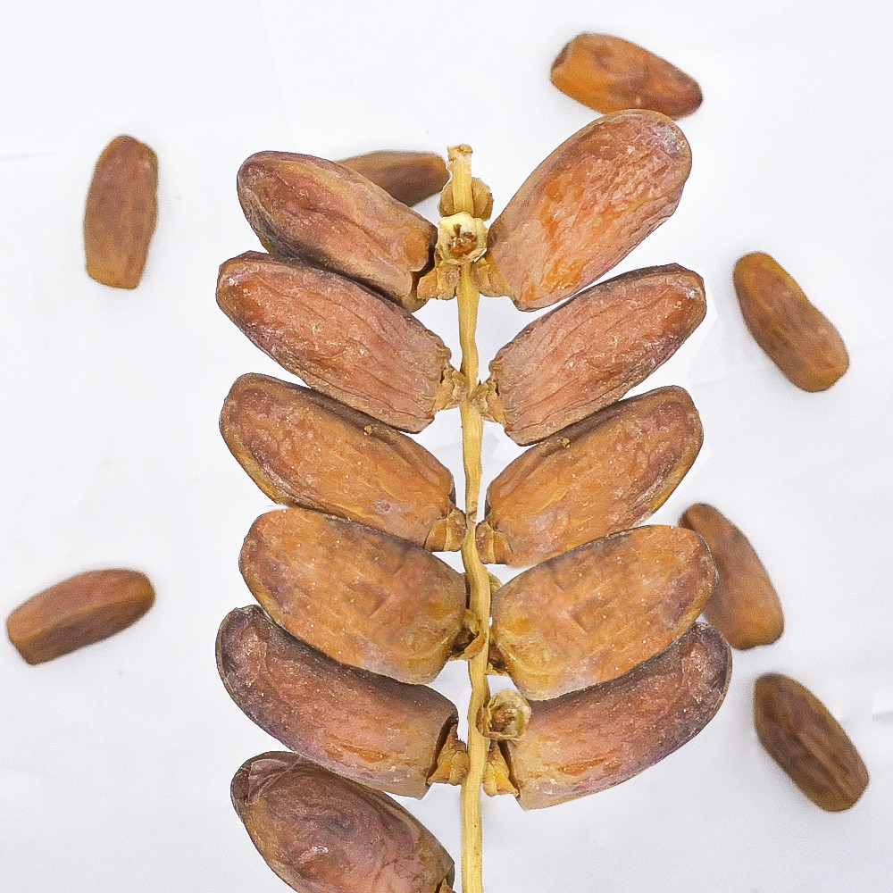 

KURMA TUNIS TANGKAI 500GR DAN 1KG REPACK / KURMA TUNISIA TANGKAI PREMIUM