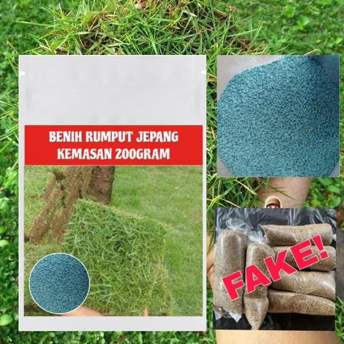 peromo benih rumput jepang 200gram -biji rumput jepang original