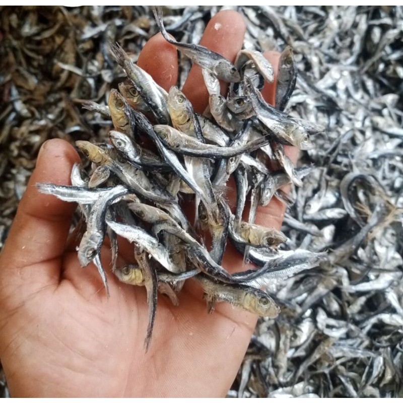 

(Officia Numyza) ikan asin lemet/lemaren 1 kg