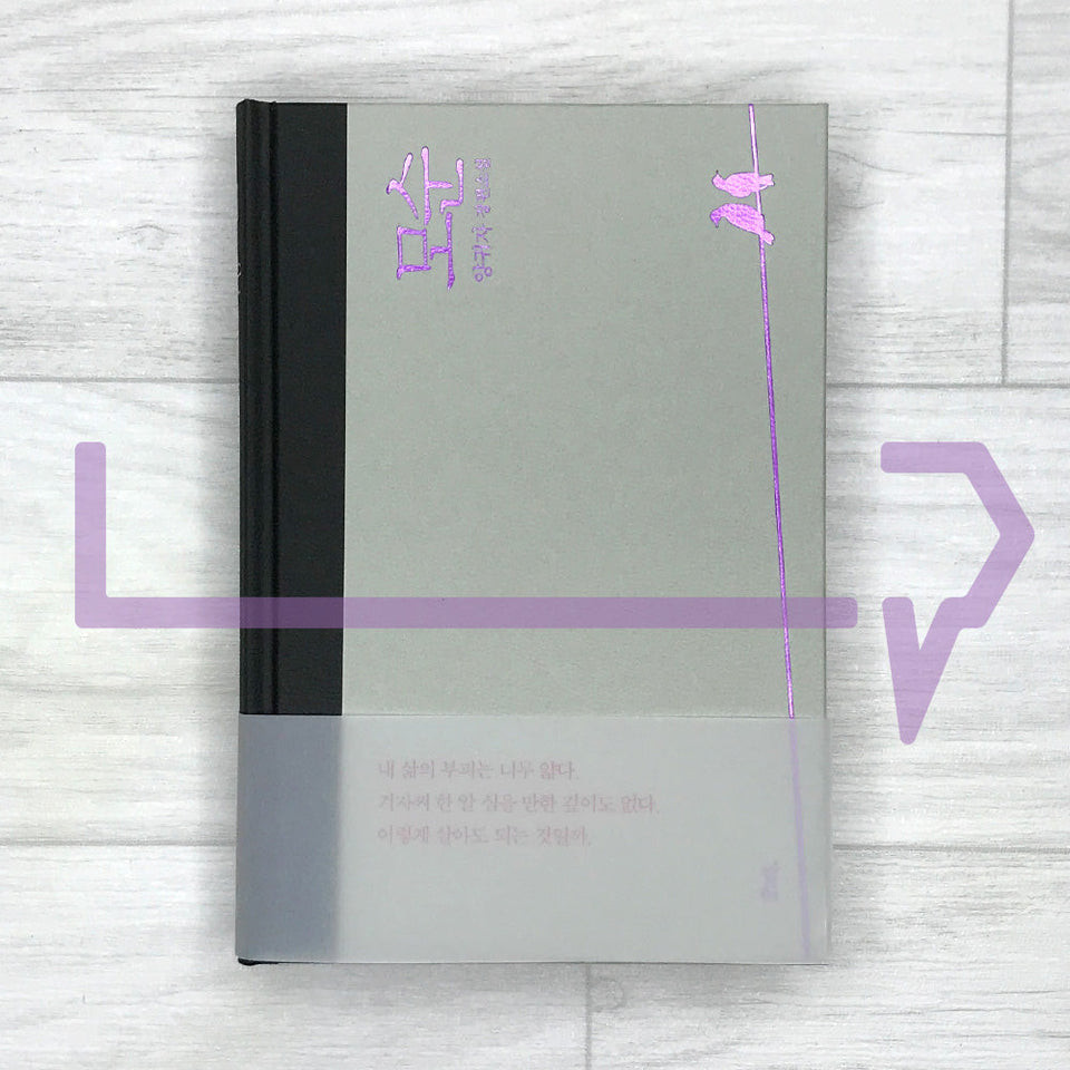 Contradictions . Novel Korea