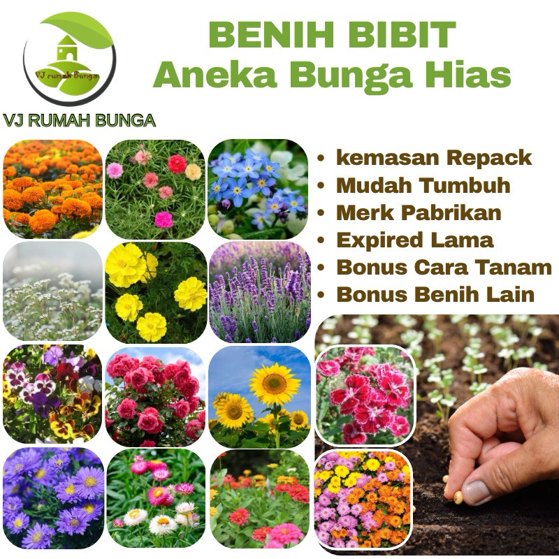 VJ RUMAH BUNGA-Benih Bibit Bunga Hias Benih Bunga Unggul