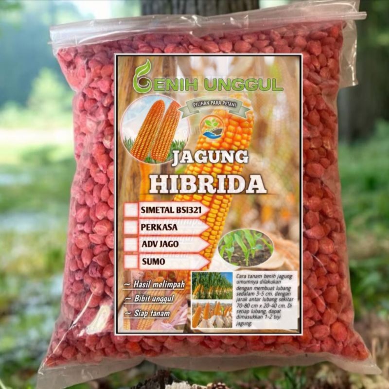 TERLARIS 1KG BENIH JAGUNG SIMETAL BISI 321,ADV JAGO,SUMO,PERKASA BIBIT UNGGUL