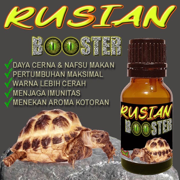 RUSIAN BOOSTER OBAT RUSSIAN TORTOISE KURA-KURA DARAT HORSFIELD AGRIONEMYS HORSFIELDI VITAMIN PENAMBA