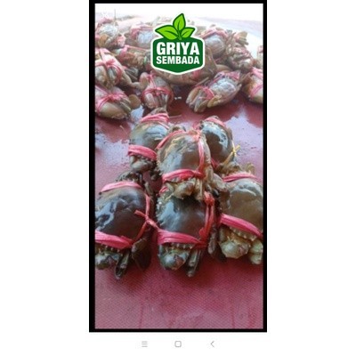 

Baby Crab 1KG Griya Sembada