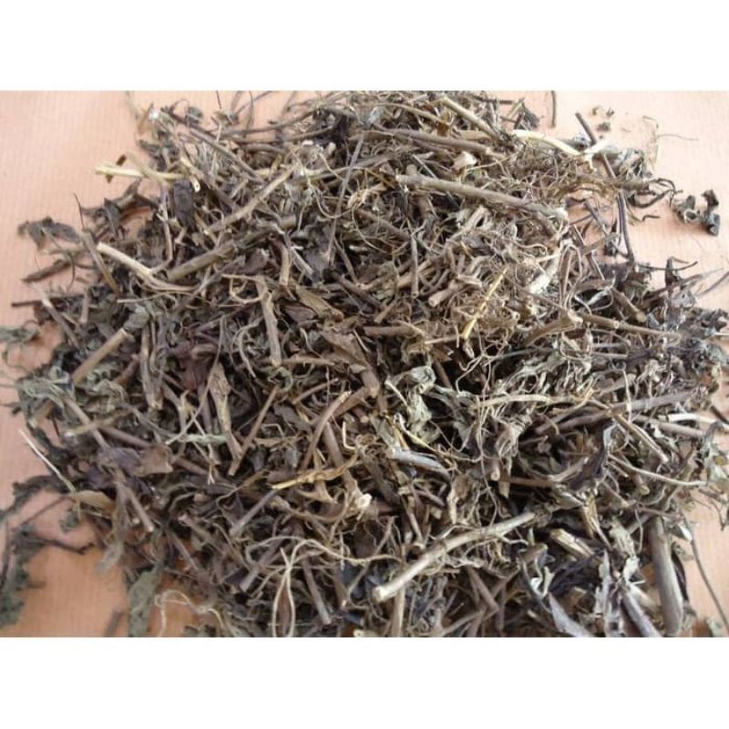 

Bisa cod DAUN KUMIS KUCING KERING HEEBAL OBAT SALURAN PENCERNAAN DAN BATU GINJAL MUJARAB NY