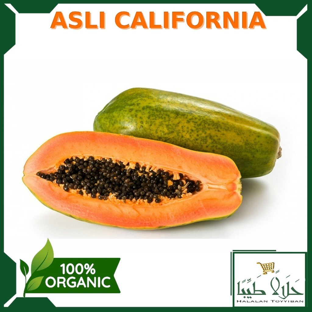 

BUAH PEPAYA PAPAYA CALIFORNIA [HARVEST LINE] 1PC Per 1 Buah