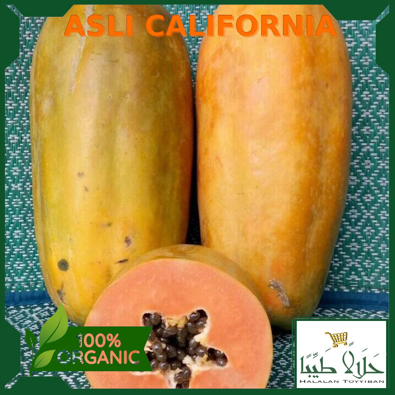 

PEPAYA CALIFORNIA 1 BUAH Per 1 Buah