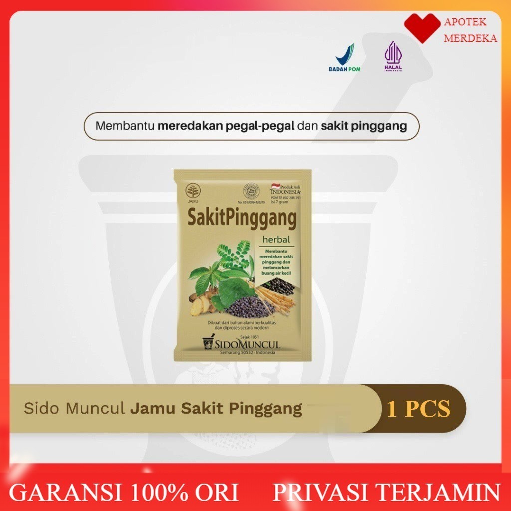 

Sido Muncul Jamu Sakit Pinggang Sachet - Nyeri Pinggang & Sendi