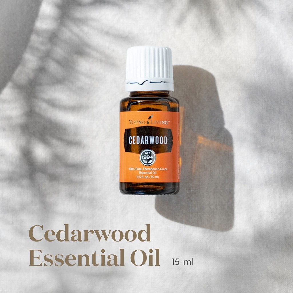 young living cedarwood 15ml essential oil cedar wood original 15ml essentials oil original