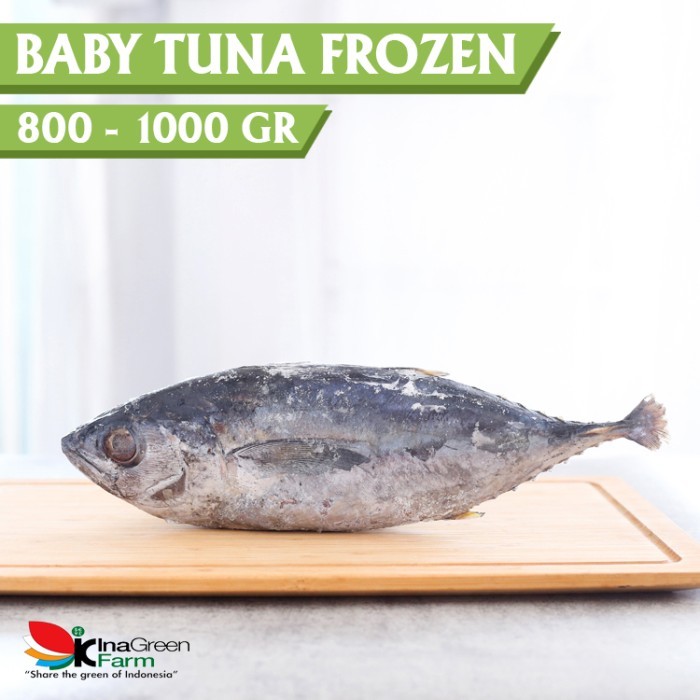 

Inagreen Farm Bandung Ikan Baby Tuna Frozen