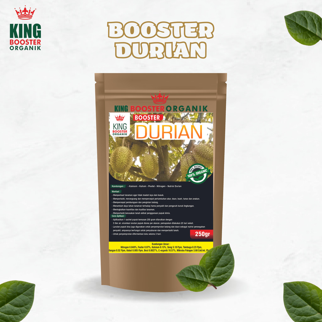 Pupuk Booster Durian Organik Agar Cepat Berbuah Lebat Vitamin Perangsang Pembuahan Buah Duren Saat S