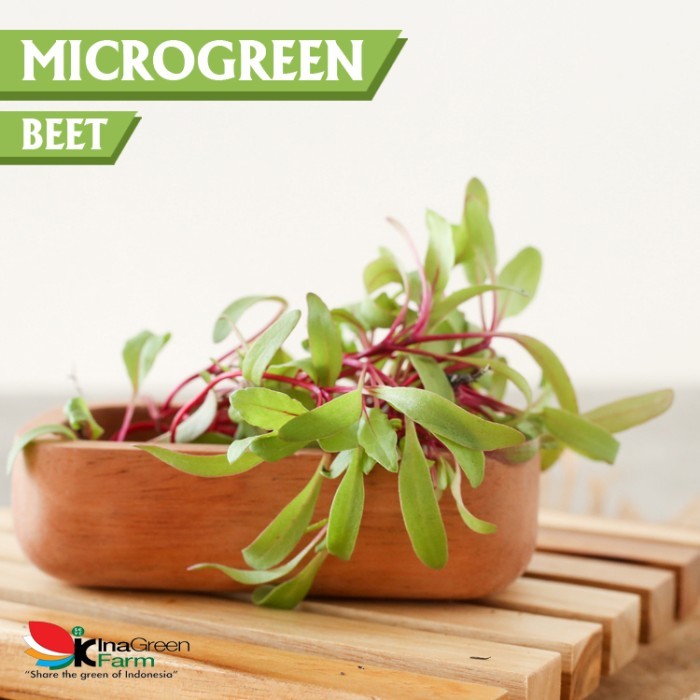 

Microgreen Organik Beet Inagreen