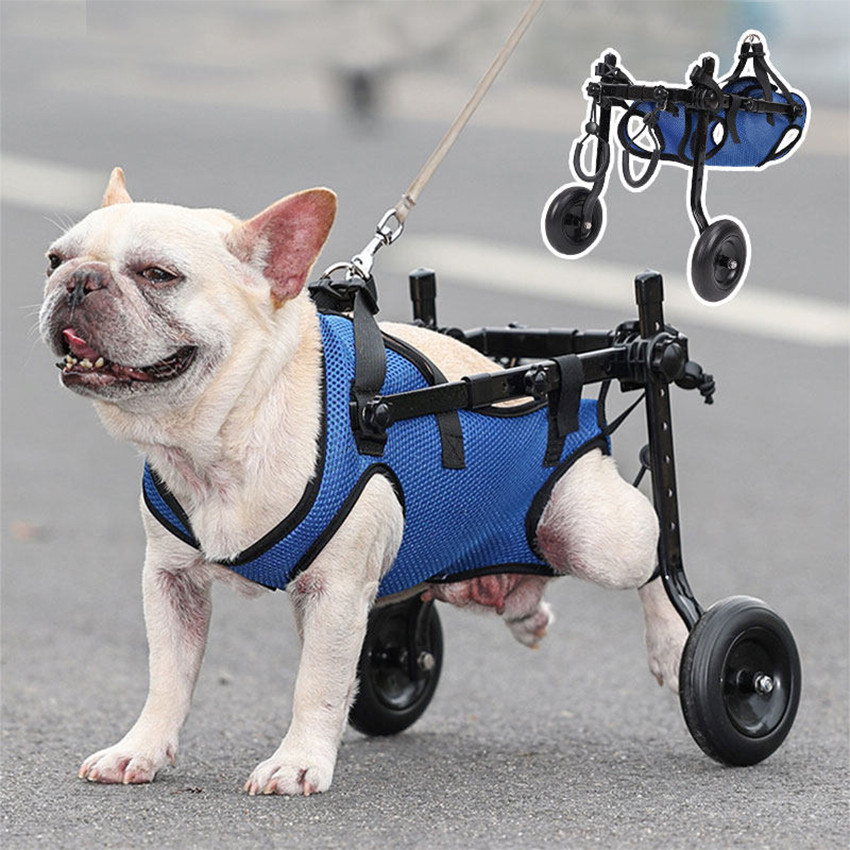 Pet Wheelchair Kursi Roda Alat Bantu Jalan Kucing Anjing Wheelchair Alat Bantu Anjing Peliharaan - L