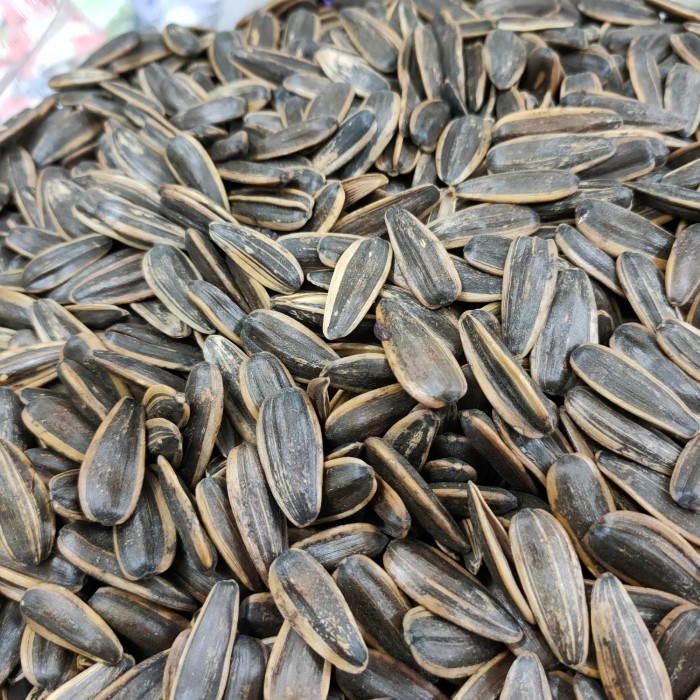 

biji kuaci matahari super 500gr