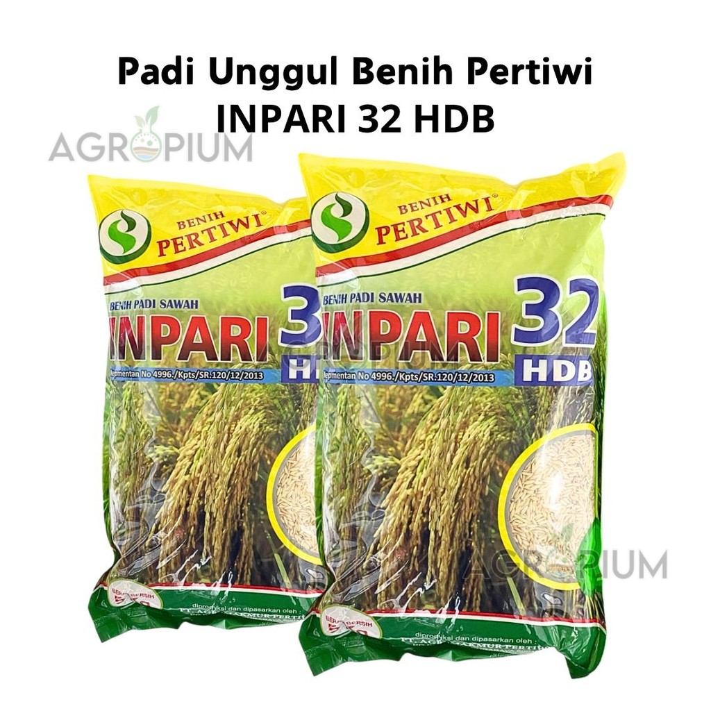 Benih Padi Sawah Unggul INPARI 32 HDB 5 Kg Benih Pertiwi