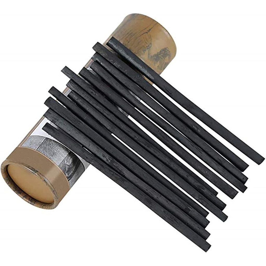 

25 PCS Willow Charcoal Sticks, Ideal for Artists, Beginners, Students, Perfect for Sketching, Drawing, Shading, and Fine Art