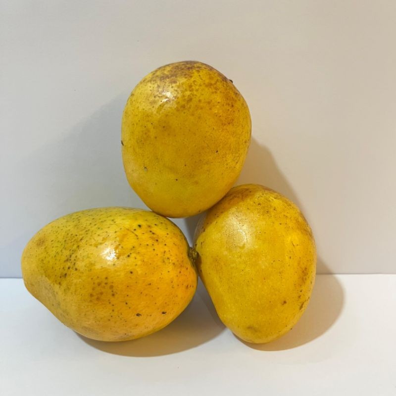 

Mangga udang 1kg