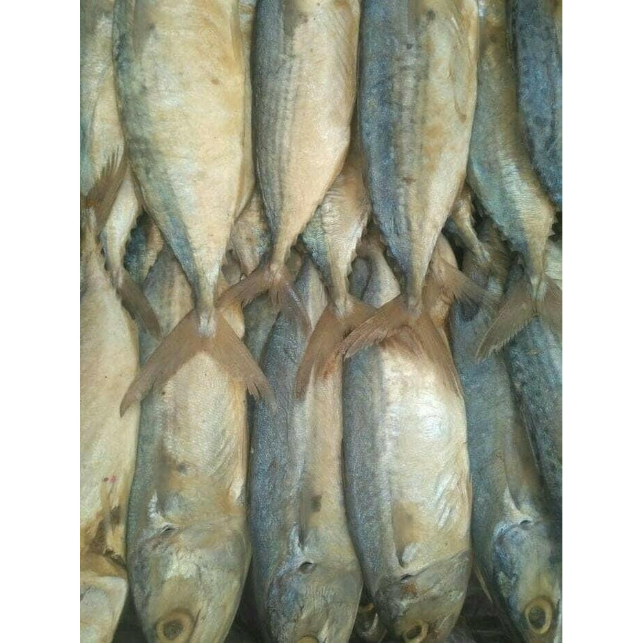 

ikan asin peda putih jumbo 1 kg harga paling murah