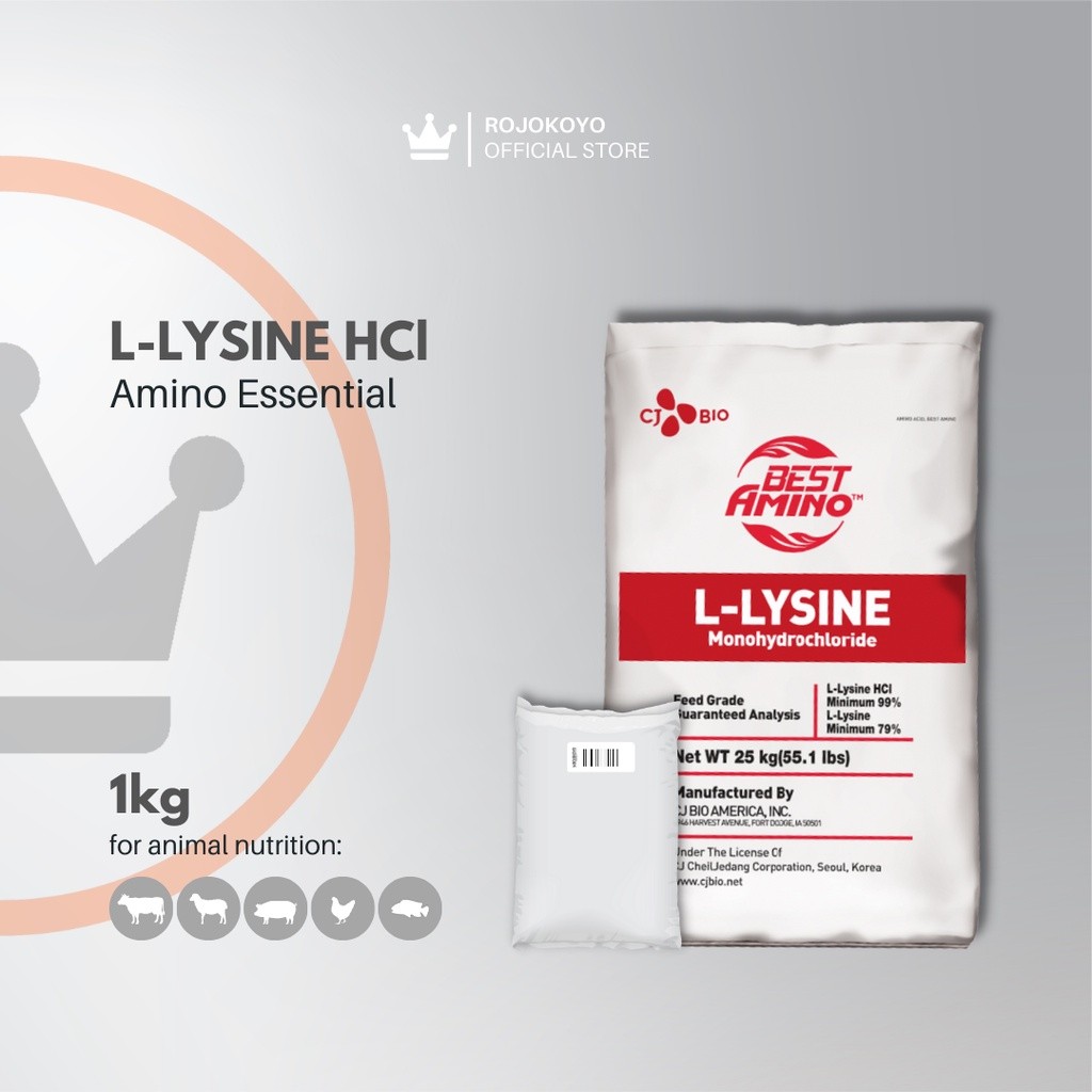 L-Lysine HCl Asam Amino Hewan Ternak