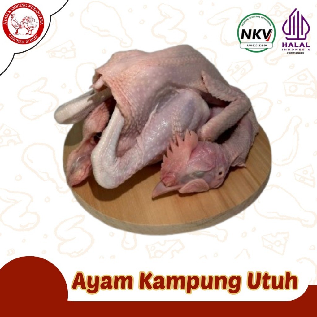 

AYAM KAMPUNG UTUH ASLI - KARKAS AYAM KAMPUNG FRESH (Halal & siap dikirim)